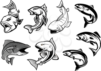 Cartoon salmons fish set for fishing sports or seafood design
