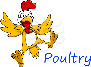 Surprised cartoon cockerel character, for poultry food and caricature design 