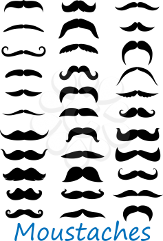 Moustache icons set isolated on white background. Suitable for barbery and retro design