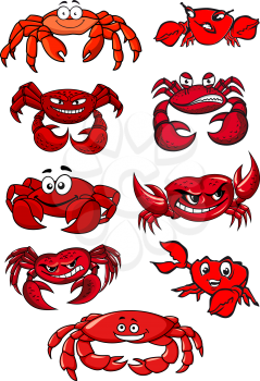 Set of red cartoon marine crabs, male and female with differing expressions from happiness to anger, vector illustration on white