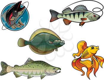 Five cartoon colored fish characters. Salmon, flounder, perch and goldfish