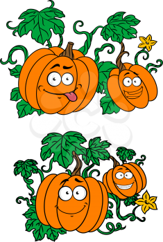 Two happy orange cartoon pumpkins growing on vines with big green leaves in two different variations, vector illustration on white