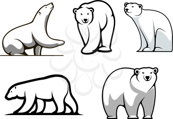 White polar bears set in cartoon style for mascot or logo design