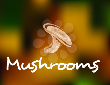 Forest colorful edible mushrooms on blur background for food, pizza and gourmet design