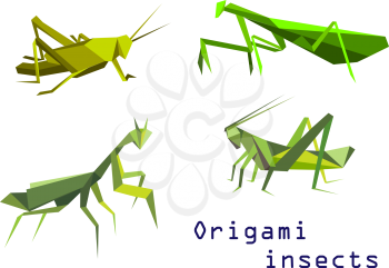 Set of green origami insects with a grasshopper, praying mantis, mantis and locust, side view colorful cartoon illustration