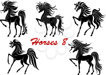 Black horse stallions  with five different black profile silhouettes of prancing horses with flowing tails
