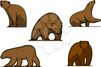 Brown colored cartoon bear characters isolated on white for wildlife and sport team mascot design