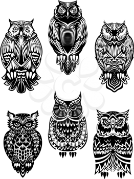 Isolated owl birds in tribal style for mascot, tattoo or wildlife concept