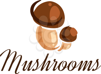 Fresh forest mushrooms isolated on white for food, pizza and gourmet design