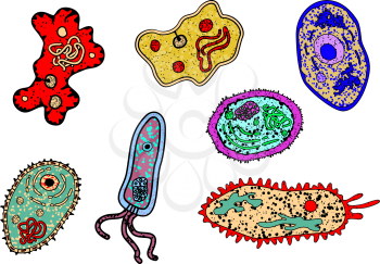 Cartoon amebas or microbial lifeforms set for science, biology, medicine or education  design
