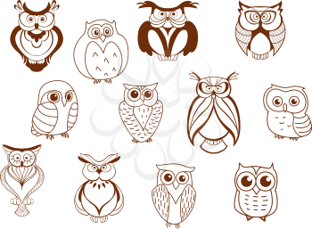 Cute cartoon vector owl characters showing different species with different feathers and plumage, mostly line drawings