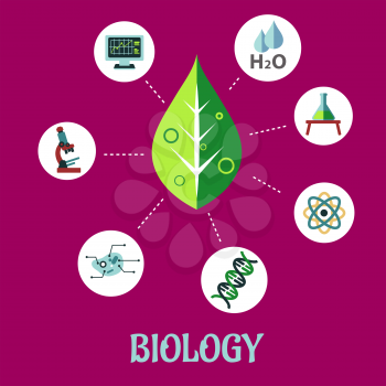 Biology flat concept design with a fresh green leaf surrounded by round icons depicting insects, microscope, computer, water, chemical analysis, atoms for physics and DNA for genetics, vector illustra