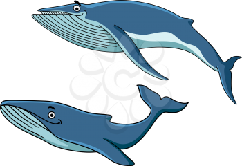 Blue cartoon whales swimming underwater with their tails, vector illustration on white