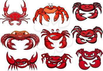 Colorful red cartoon marine crabs set facing the viewer with toothy smiles, for mascot design