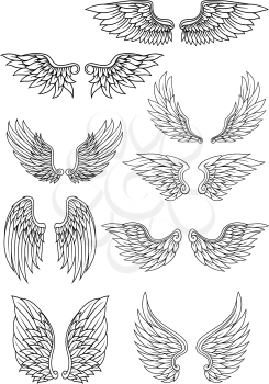 Set of outline heraldic wings in black and white with feather detail for use in heraldry and religion design