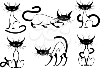 Set of elegant black and white cartoon vector cats with black heads, feet and tail in various poses