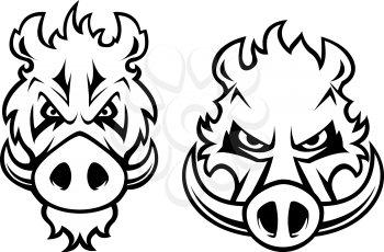 Wild boar heads with aggressive grin and big fangs isolated on white background for logo, emblems or tattoo design