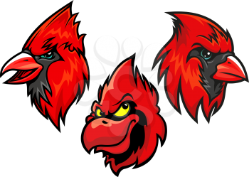 Cartooned red cardinal birds heads for sport team mascot or tattoo design