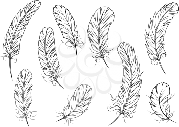 Outline icons of fluffy weightless bird feather or ink pen for literary logo, emblem design isolated on white background 