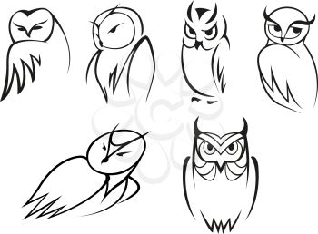 Outline cartoon owl birds in different poses for educational concept, mascot or logo design 