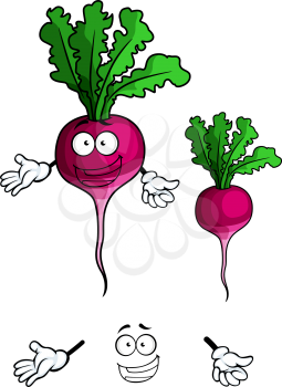 Cheerful cartoon radish vegetable character with green sappy leaves and happy smile suited for healthy nutrition concept and vegetarian menu design