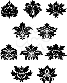 Black abstract floral design elements with lush flowers and foliage curlicues isolated on white background