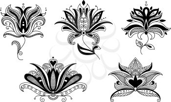 Set of intricate decorative paisley vector calligraphic floral elements for stylish design