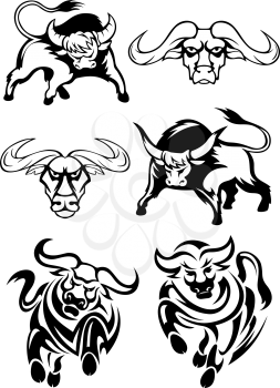Black and white bulls or buffaloes in various poses as two heads, two charging and two with heads lowered threateningly