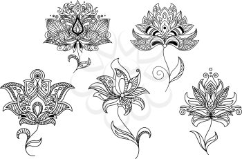 Persian and indian paisley flowers and decorative elements set for design