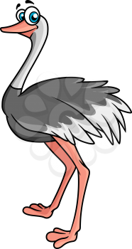 Cartoon ostrich with grey feathers standing sideways looking at the viewer, suitable for kid books or comics
