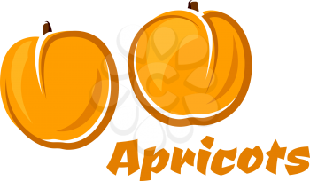 Apricot fruits poster depicting aroma juicy soft fruits in orange and yellow colors with caption Apricots