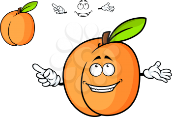 Cartoon juicy apricot fruit with smiling face and separate elements on white for agriculture and nutrition design
