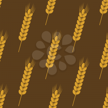 Seamless background pattern of ripe golden ears of wheat or barley on a brown background in square format