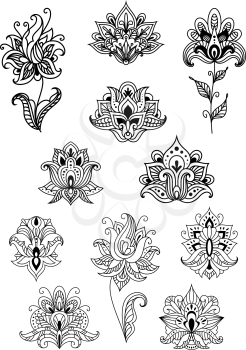 Vintage contoured black flowers in paisley style decorated traditional ethnic ornamental elements suited for oriental stylized textile design