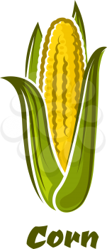 Ripe fresh yellow corn on the cob vegetable with long green leaves in cartoon style isolated on white background with caption Corn