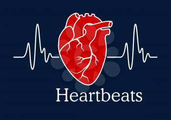 Health care concept depicting human heart with white wavy line of heartbeats cardiogram on dark blue background with caption Heartbeats