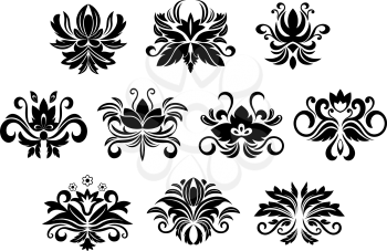 Retro floral and foliage design elements with abstract black flowers, drop shaped petals, curly tendrils and leaves curlicues