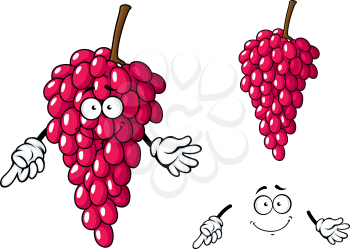 Sweet cartoon bunch of dark red grape fruit character with elongated shiny berries isolated on white background