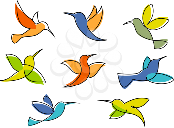 Colorful hummingbirds symbols in different poses for business icon or emblem design in sketch style isolated on white background 