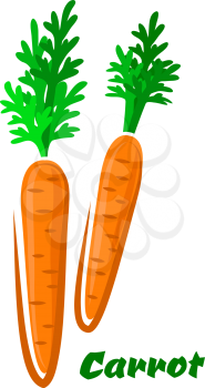 Fresh colorful orange cartoon carrots vegetables logo with their green leaves and text Carrot