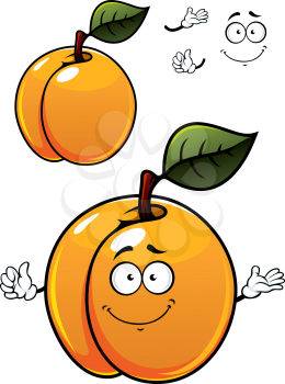 Fun colorful cartoon apricot fruit character with a green leaf, happy smile and waving hands isolated on white background