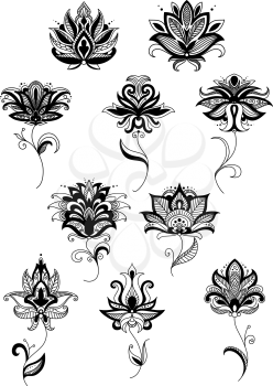 Black paisley flower design templates set for ornate and interior design