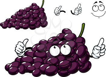 Funny cartoon purple grape fruit character isolated on white background