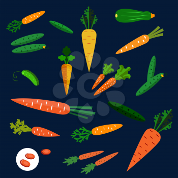 Healthy colorful flat carrot and cucumber vegetables scattered on a dark background