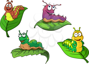 Cute cheerful cartoon caterpillars characters on fresh green leaves, isolated on white background