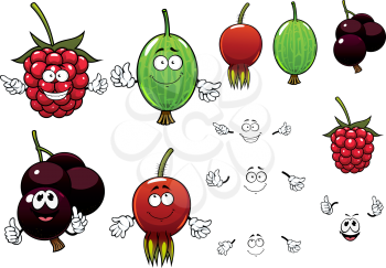 Fresh raspberry, black currants, gooseberry and briar berries cartoon characters with smaller plain duplicates for agriculture or healthy food 