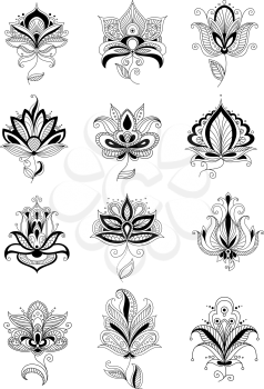 Elegant persian flowers with lacy twisted teardrop petals, adorned curly paisley ornaments isolated on white