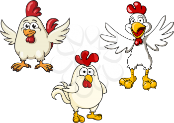Cartoon white roosters or cocks with red crests and flapping wings, for farm animal or comics design