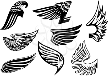 Heraldic black and white angel or evil wings with different shapes and plumage