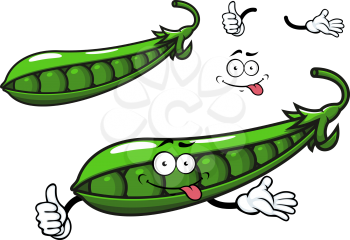 Green pea vegetable cartoon character with bright fresh beans in glossy open pod for healthy food or agriculture design